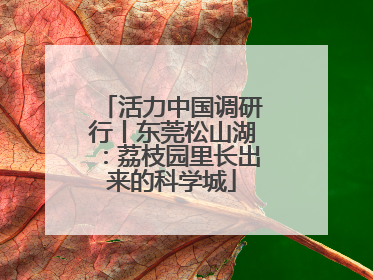 活力中国调研行丨东莞松山湖：荔枝园里长出来的科学城