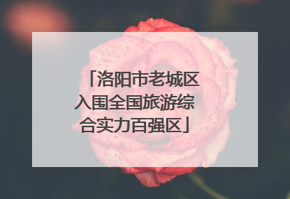 洛阳市老城区入围全国旅游综合实力百强区