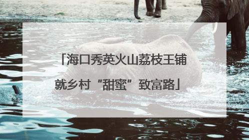 海口秀英火山荔枝王铺就乡村“甜蜜”致富路
