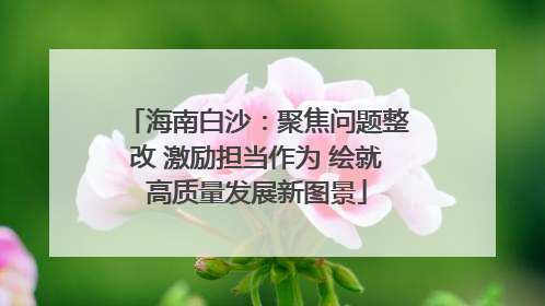 海南白沙：聚焦问题整改 激励担当作为 绘就高质量发展新图景