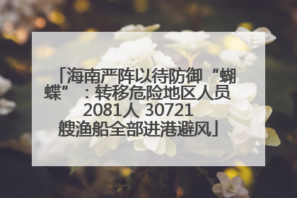 海南严阵以待防御“蝴蝶”：转移危险地区人员2081人 30721艘渔船全部进港避风