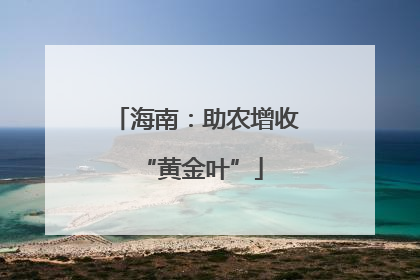 海南：助农增收 “黄金叶”
