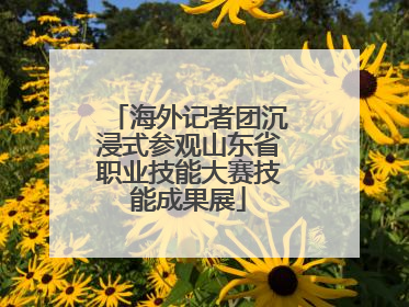 海外记者团沉浸式参观山东省职业技能大赛技能成果展
