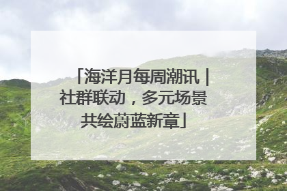 海洋月每周潮讯｜社群联动，多元场景共绘蔚蓝新章