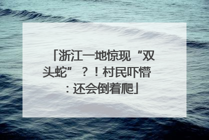 浙江一地惊现“双头蛇”？！村民吓懵：还会倒着爬