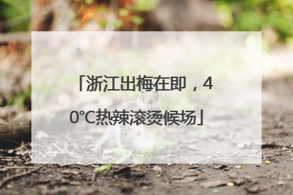 浙江出梅在即，40℃热辣滚烫候场