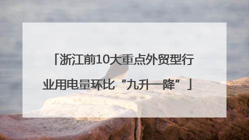 浙江前10大重点外贸型行业用电量环比“九升一降”