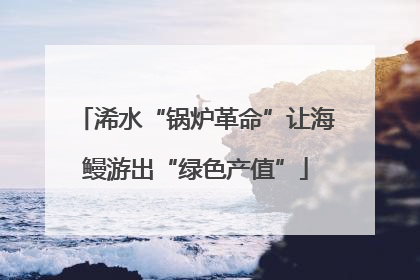 浠水“锅炉革命”让海鳗游出“绿色产值”