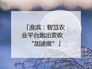 淮滨：智慧农业平台跑出麦收“加速度”