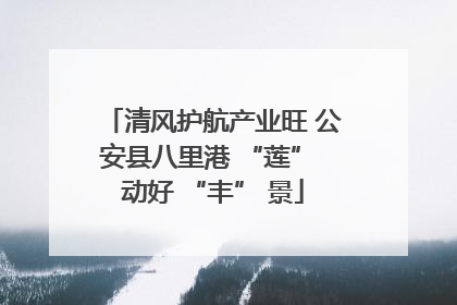 清风护航产业旺 公安县八里港 “莲” 动好 “丰” 景