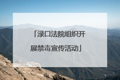 渌口法院组织开展禁毒宣传活动