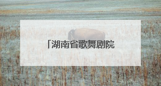 湖南省歌舞剧院合唱团首秀阿尔巴音乐节 中外金曲惊艳欧洲