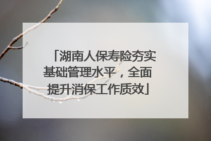 湖南人保寿险夯实基础管理水平，全面提升消保工作质效