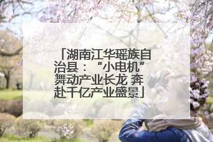 湖南江华瑶族自治县：“小电机”舞动产业长龙 奔赴千亿产业盛景