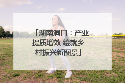 湖南洞口：产业提质增效 绘就乡村振兴新图景