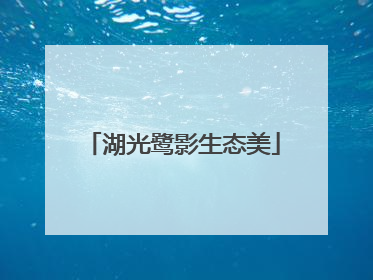 湖光鹭影生态美
