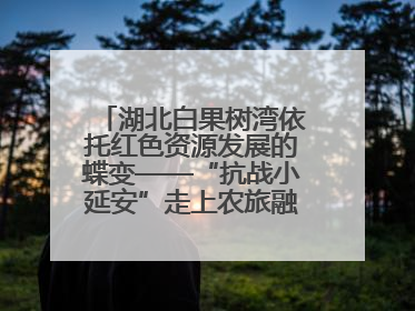 湖北白果树湾依托红色资源发展的蝶变——“抗战小延安”走上农旅融合振兴路