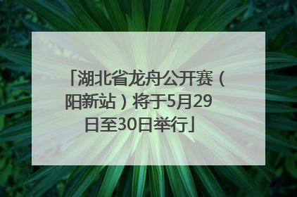 湖北省龙舟公开赛（阳新站）将于5月29日至30日举行