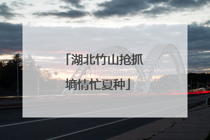 湖北竹山抢抓墒情忙夏种