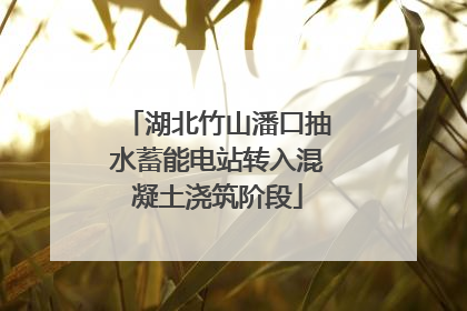 湖北竹山潘口抽水蓄能电站转入混凝土浇筑阶段