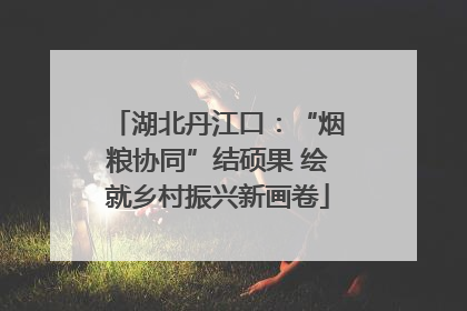 湖北丹江口：“烟粮协同”结硕果 绘就乡村振兴新画卷