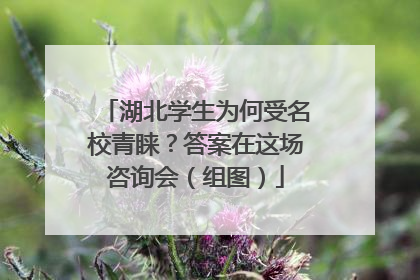 湖北学生为何受名校青睐？答案在这场咨询会（组图）