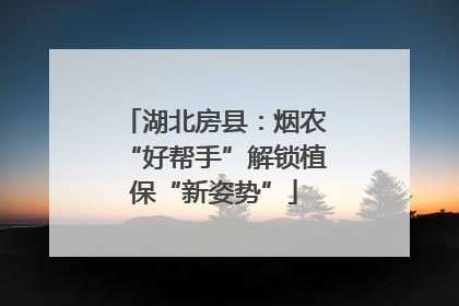 湖北房县：烟农“好帮手”解锁植保“新姿势”
