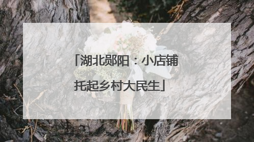 湖北郧阳：小店铺托起乡村大民生