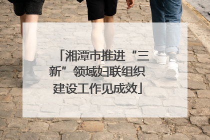 湘潭市推进“三新”领域妇联组织建设工作见成效