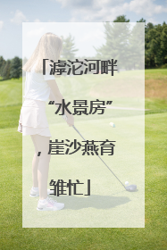 滹沱河畔“水景房”，崖沙燕育雏忙