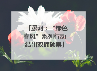漯河：“绿色春风”系列行动结出双拥硕果