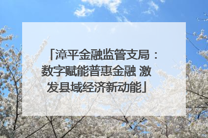 漳平金融监管支局：数字赋能普惠金融 激发县域经济新动能