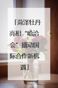 菏泽牡丹亮相“哈洽会”撬动国际合作新机遇