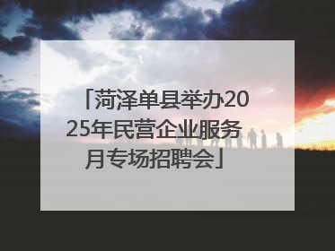 菏泽单县举办2025年民营企业服务月专场招聘会