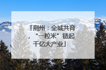 荆州：全城共育，“一粒米”链起千亿大产业