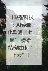 联智科技：AI轻量化监测“上岗” 桥梁结构健康“上云”