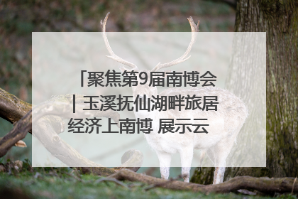 聚焦第9届南博会｜玉溪抚仙湖畔旅居经济上南博 展示云南生活新样本