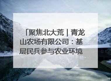 聚焦北大荒｜青龙山农场有限公司：基层民兵参与农业环境综合治理显效