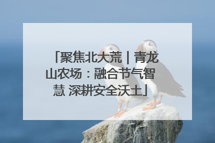 聚焦北大荒｜青龙山农场：融合节气智慧 深耕安全沃土