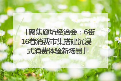 聚焦廊坊经洽会：6街16巷消费市集搭建沉浸式消费体验新场景