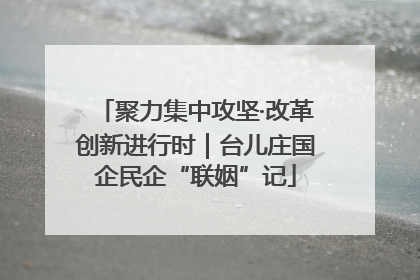 聚力集中攻坚·改革创新进行时｜台儿庄国企民企“联姻”记