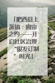 肥西县上派镇：窗帘之约——开启社区治理“银发订制”时光