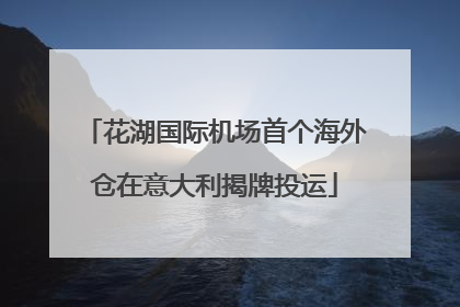 花湖国际机场首个海外仓在意大利揭牌投运