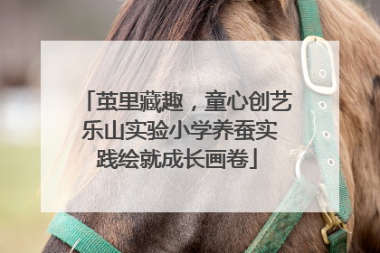 茧里藏趣，童心创艺 乐山实验小学养蚕实践绘就成长画卷