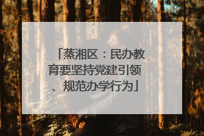 蒸湘区：民办教育要坚持党建引领、规范办学行为