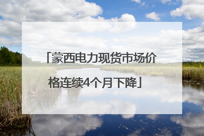 蒙西电力现货市场价格连续4个月下降