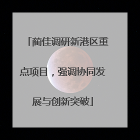 蔺佳调研新港区重点项目，强调协同发展与创新突破