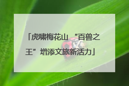 虎啸梅花山 “百兽之王”增添文旅新活力