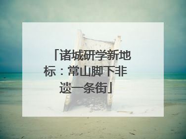 诸城研学新地标：常山脚下非遗一条街