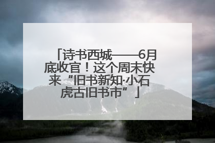 诗书西城——6月底收官！这个周末快来“旧书新知·小石虎古旧书市”
